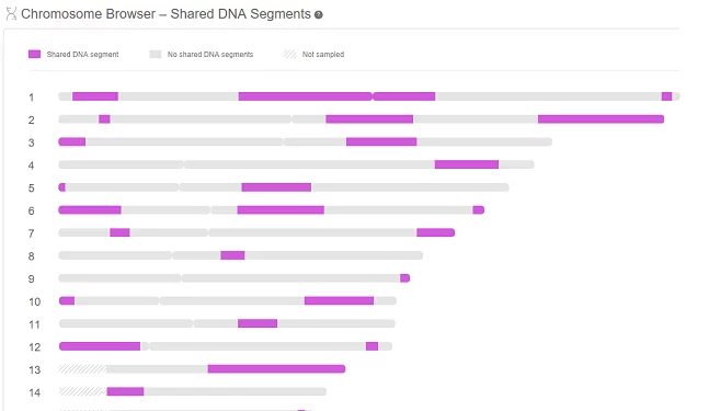 How to Use Chromosome Browsers for Genealogy
