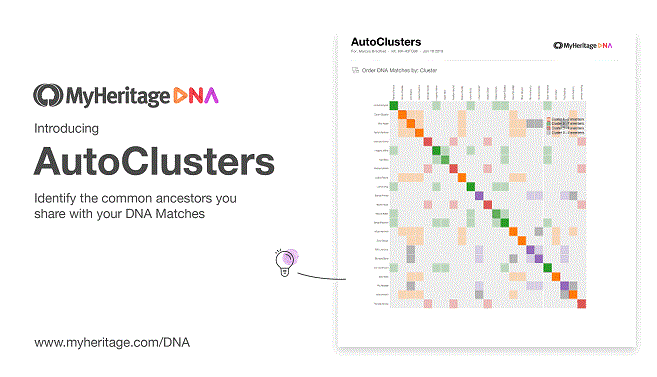 AutoClusters for DNA Matches