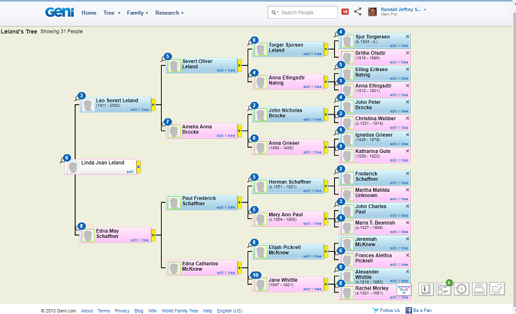 How Is The Geni Tree Different From Other Resources?