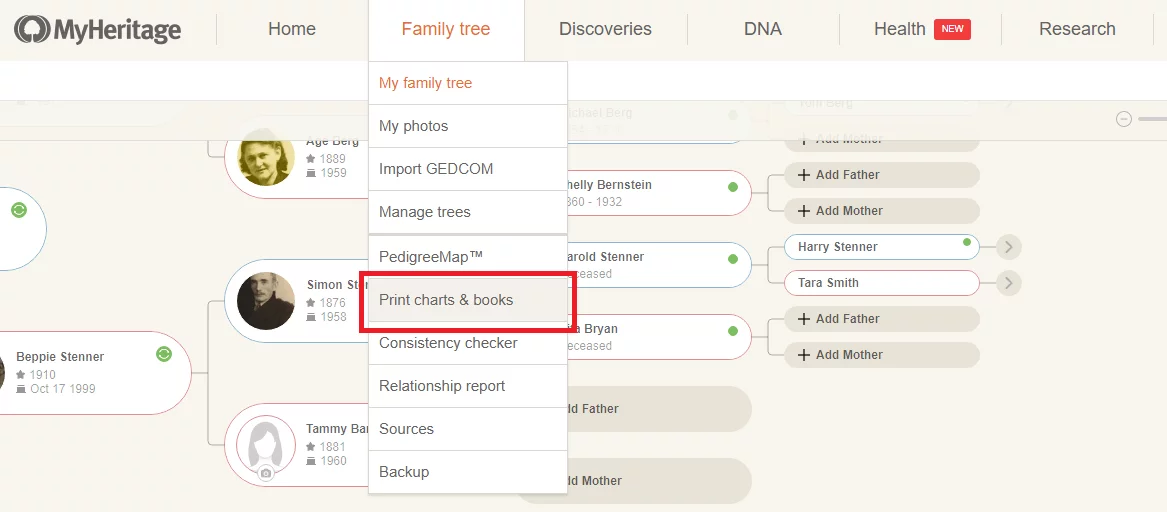 Making family tree charts and books on MyHeritage