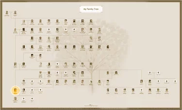 How to Make a Family Tree Chart: All-in-one chart