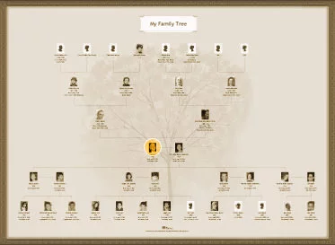 How to Make a Family Tree Chart: Hourglass chart