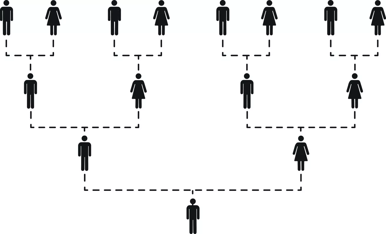 How Many Times Removed? Untangling Distant Family Relationships