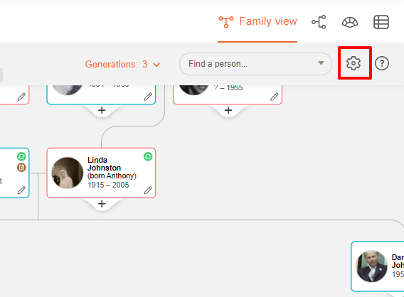 Settings button in Family view