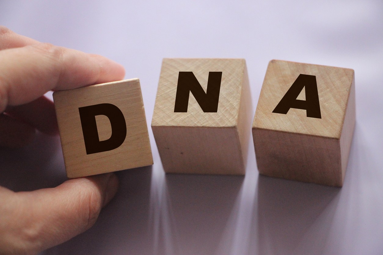 Genealogy Glossary: Common DNA Terms Explained