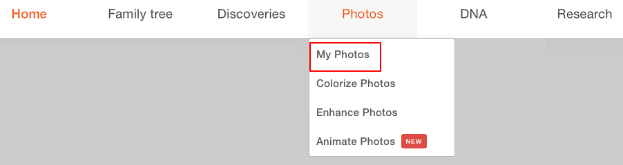 "My photos" in the photos menu on the MyHeritage website