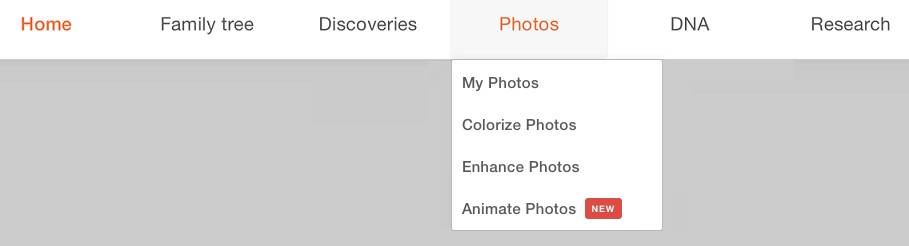 The "Photos" menu in the navigation bar of MyHeritage website