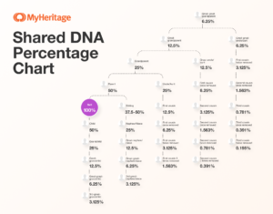 Shared DNA: How Much DNA Do You Share With Your Relatives? - MyHeritage ...