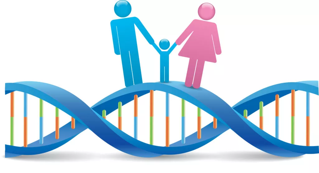 Shared DNA: How Much DNA Do You Share With Your Relatives? - MyHeritage ...