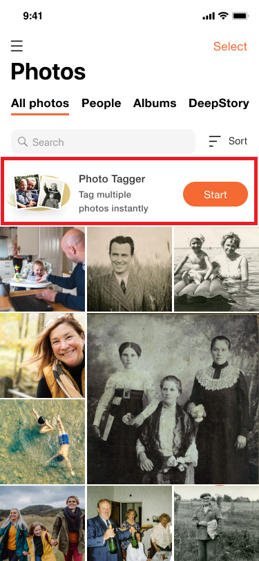 Usando o Marcador de Fotos pela primeira vez no MyHeritage