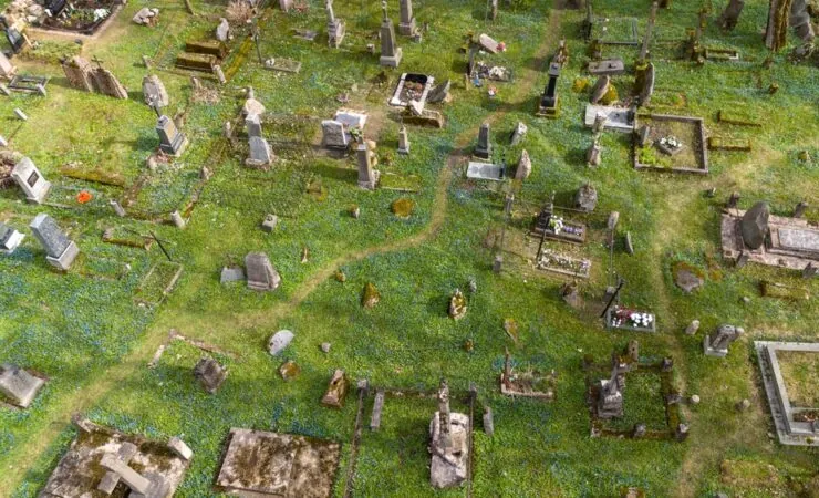 What to Look for in Death Records